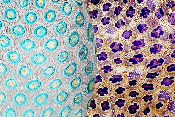 Rare David Patchen Vessels from Elton John’s Collection